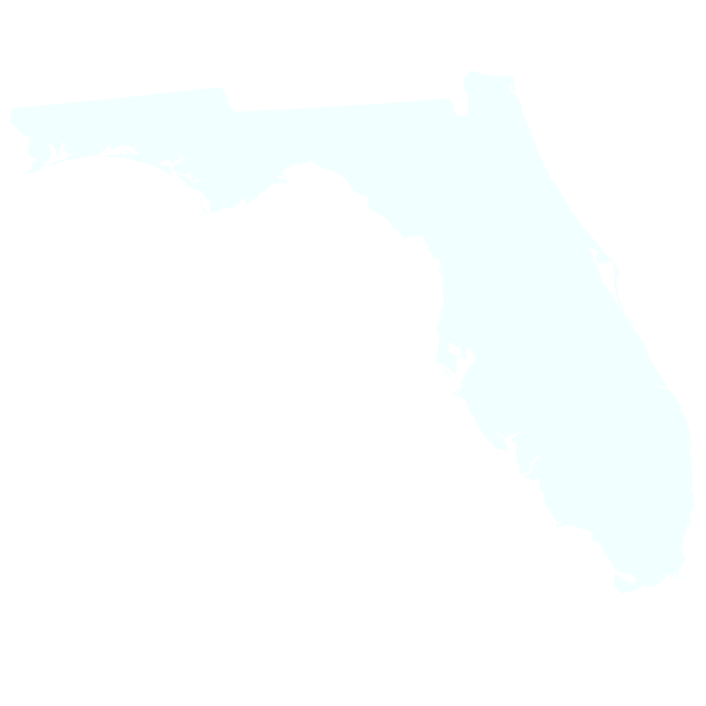 Florida Map light